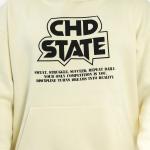 PAIN IN PROGRESS SIGNATURE HOODIE